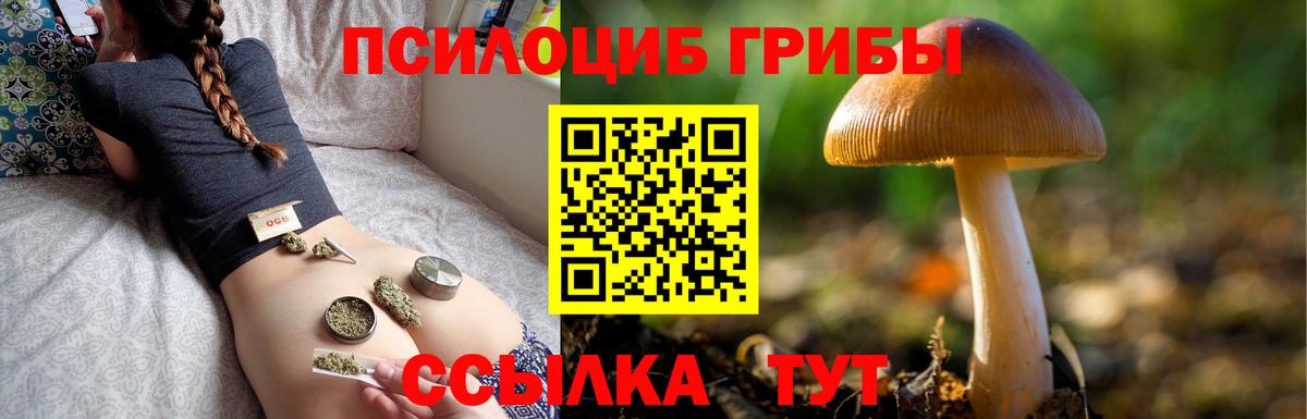Псилоцибиновые грибы мицелий Москва